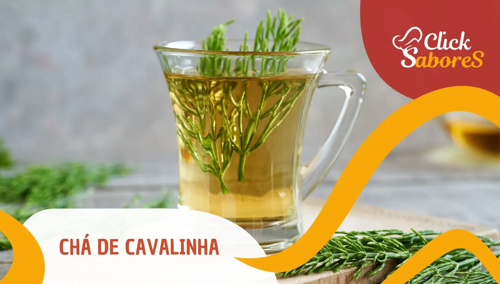 Chá de Cavalinha